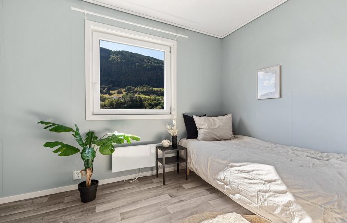 Quelle_plante_pour_chambre_choisir_?